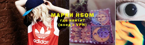 крисы Аркадак