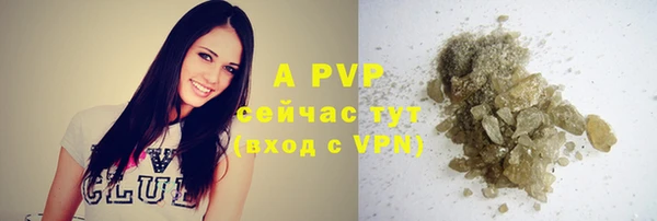 ПСИЛОЦИБИНОВЫЕ ГРИБЫ Армянск