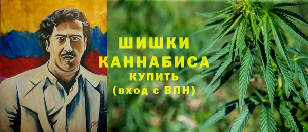 ГАЛЛЮЦИНОГЕННЫЕ ГРИБЫ Балабаново