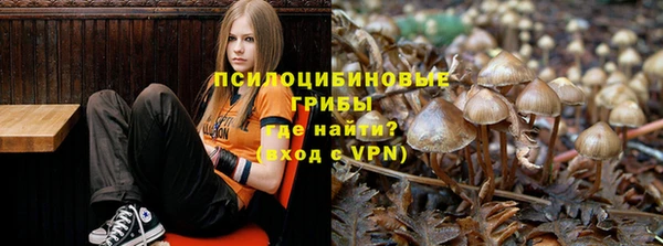 крисы Аркадак