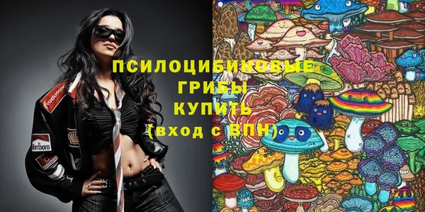 ГАЛЛЮЦИНОГЕННЫЕ ГРИБЫ Балабаново