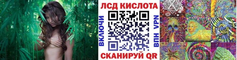 купить наркоту  Красный Холм  Наркотические марки 1,8мг 
