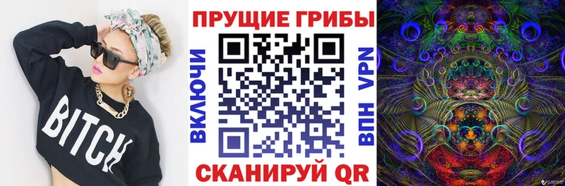 mega Красный Холм Галлюциногенные грибы ЛСД